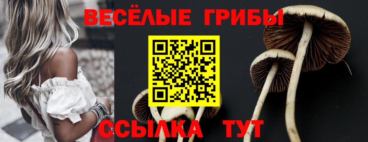 Галлюциногенные грибы прущие грибы Лосино-Петровский