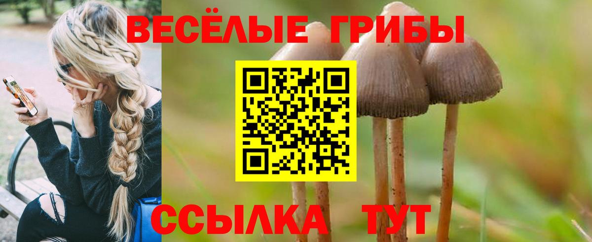Псилоцибиновые грибы Psilocybine cubensis  Вход с VPN  Лосино-Петровский 